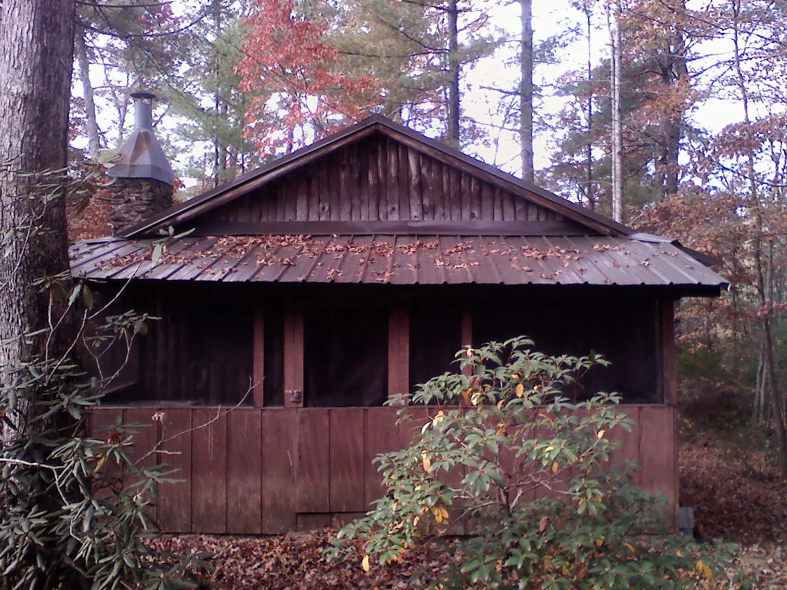 Metal roof over the screened porch of a rustic cabin in Maxwell